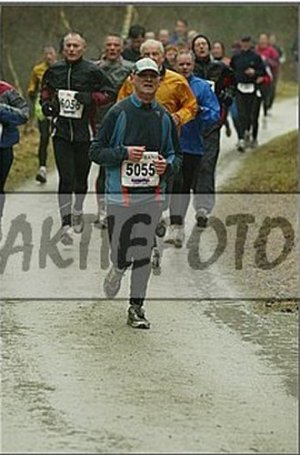 Groet uit Schoorl – foto 1