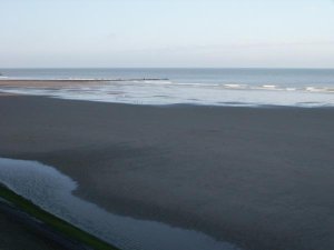 Daguitstap naar zee – foto 23