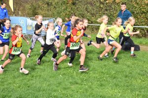 Martine Vandewalle Memorial cross Staden – foto 5